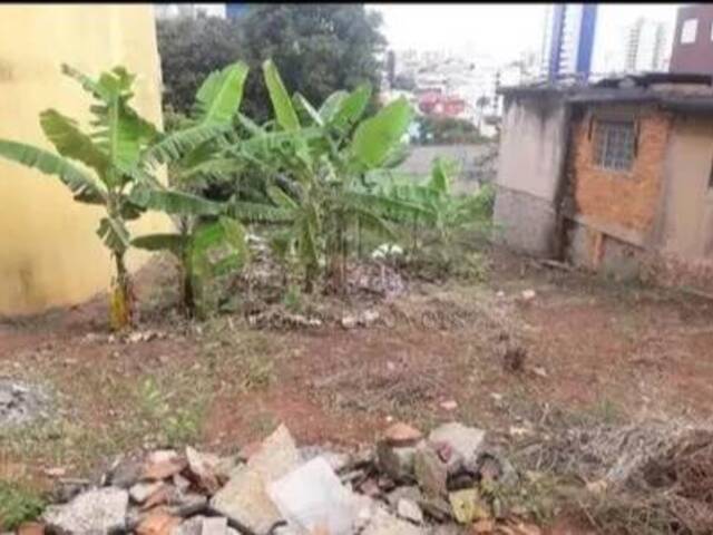 #1436406 - Terreno para Venda em Santo André - SP - 3