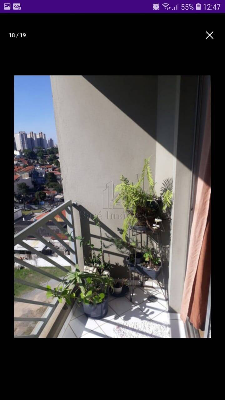 Apartamento à venda com 3 quartos, 67m² - Foto 6