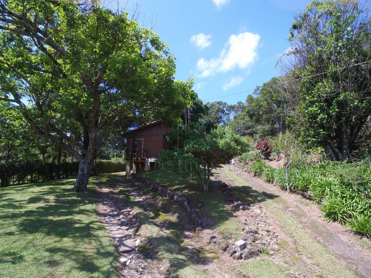 Fazenda à venda com 3 quartos, 48000m² - Foto 6