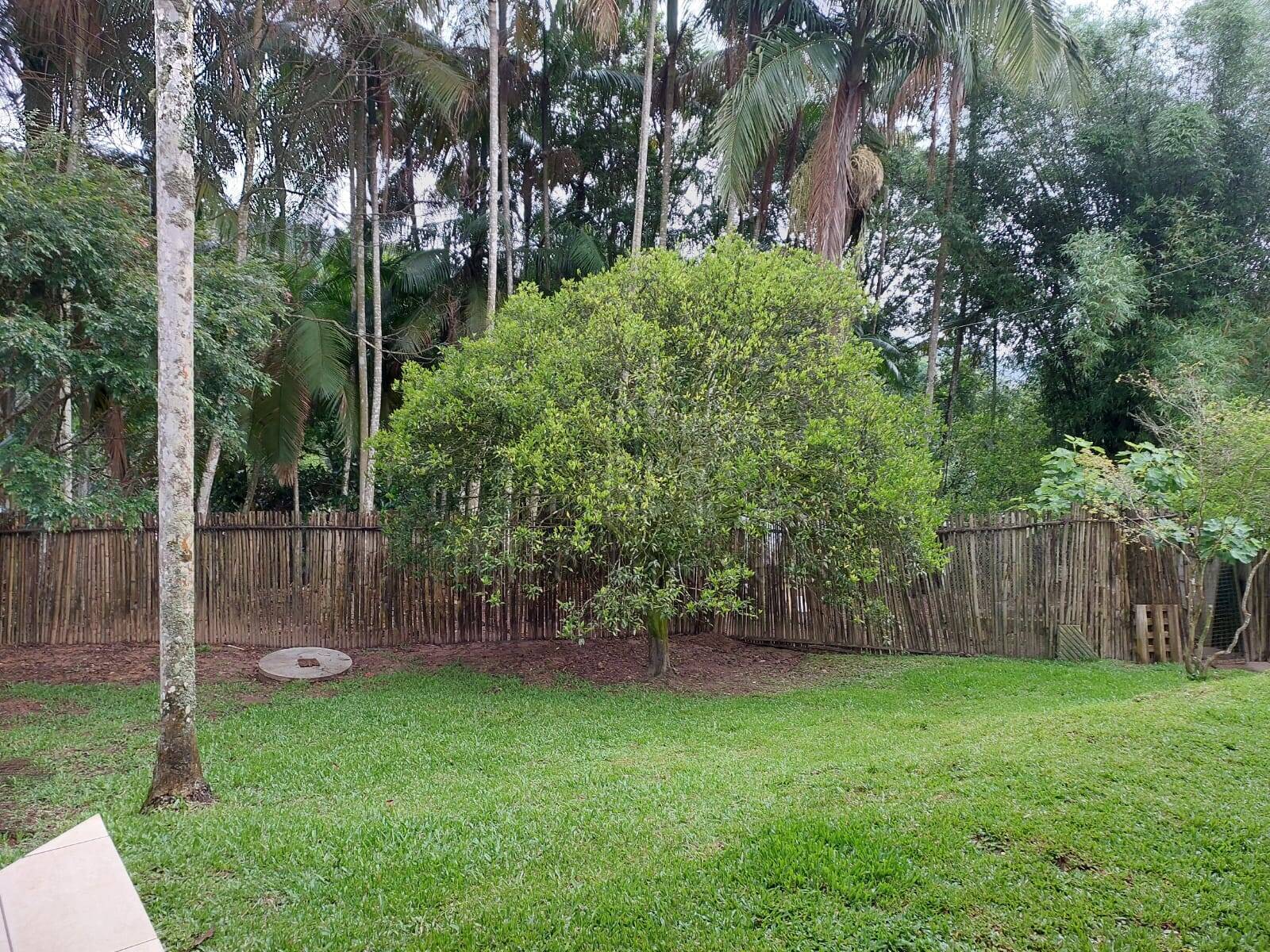 Fazenda à venda com 2 quartos, 200m² - Foto 5