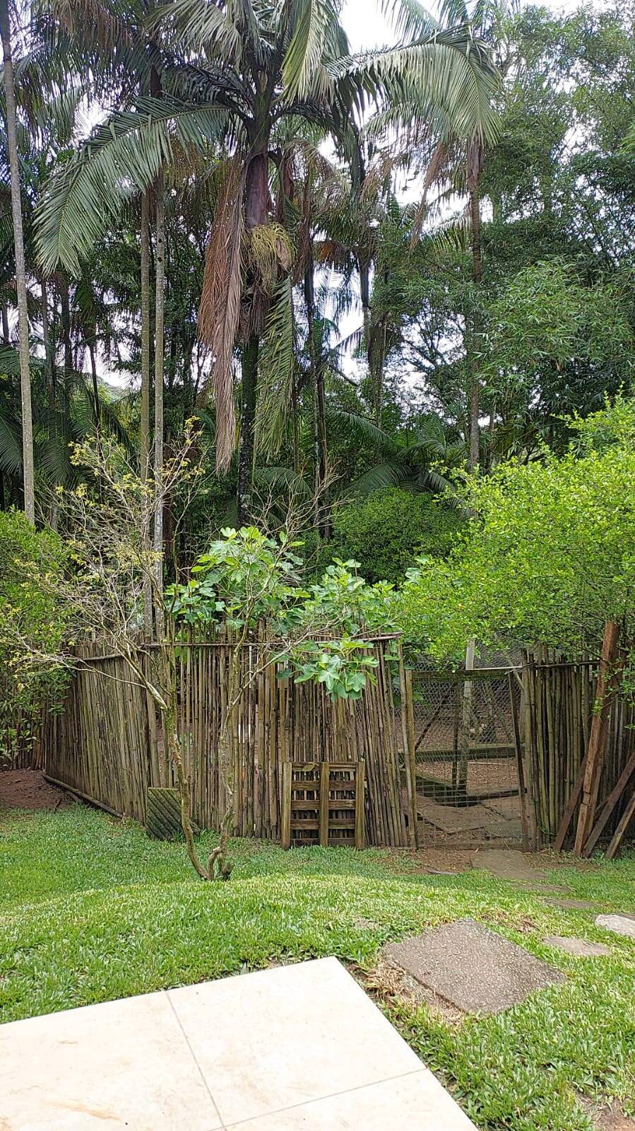 Fazenda à venda com 2 quartos, 200m² - Foto 6