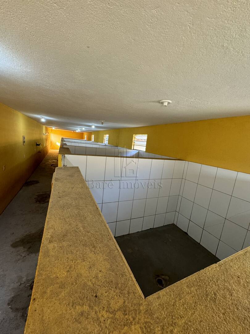 Fazenda à venda com 3 quartos, 2400m² - Foto 49