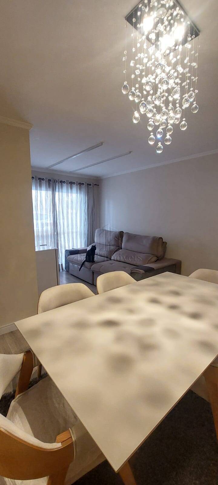 Apartamento à venda com 3 quartos, 65m² - Foto 9